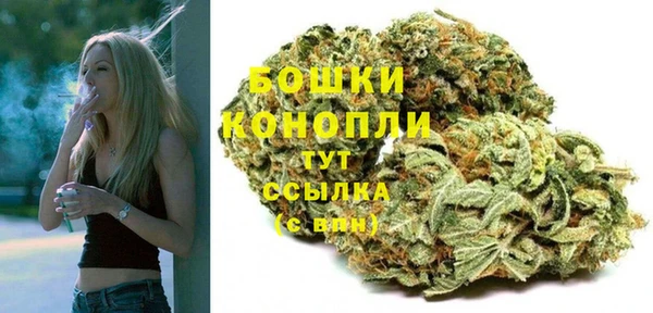 гидропоника Верея