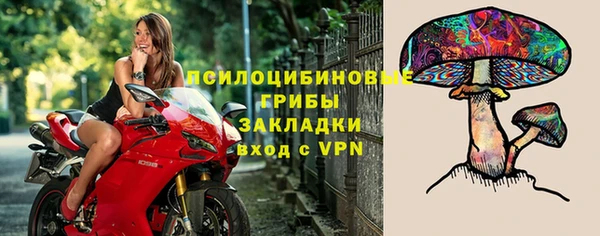 гидропоника Верея